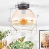 Koyoto Plafoniera, Lampada a sfera Ambrato, Chiaro, 1-Luce