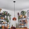 Koyoto Lampadario a sospensione, Lampada a sfera, Lampada a sospensione Chiaro, Ramato, 1-Luce