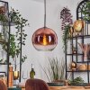 Koyoto Lampadario a sospensione, Lampada a sfera, Lampada a sospensione Chiaro, Ramato, 1-Luce