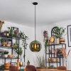 Koyoto Lampadario a sospensione, Lampada a sfera, Lampada a sospensione Verde, 1-Luce