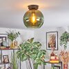 Koyoto Plafoniera, Lampada a sfera Verde, 1-Luce