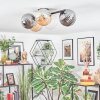 Chehalis Plafoniera, Lampada a sfera Ambrato, Chiaro, Grigio fumo, 5-Luci