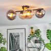 Gastor Plafoniera, Lampada a sfera Ambrato, Chiaro, Grigio fumo, 4-Luci