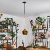 Koyoto Lampadario a sospensione, Lampada a sfera, Lampada a sospensione Oro, 1-Luce