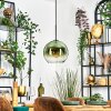 Koyoto Lampadario a sospensione, Lampada a sfera, Lampada a sospensione 25 cm Verde, Chiaro, 1-Luce