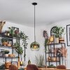 Koyoto Lampadario a sospensione, Lampada a sfera, Lampada a sospensione 25 cm Verde, Chiaro, 1-Luce