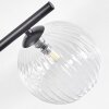 Chehalis Plafoniera, Lampada a sfera Chiaro, 5-Luci