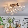 Chehalis Plafoniera, Lampada a sfera Chiaro, 5-Luci