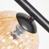 Chehalis Plafoniera, Lampada a sfera Ambrato, 5-Luci