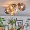 Chehalis Plafoniera, Lampada a sfera Ambrato, Chiaro, Grigio fumo, 5-Luci
