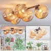 Chehalis Plafoniera, Lampada a sfera Ambrato, 5-Luci