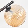 Chehalis Plafoniera, Lampada a sfera Ambrato, 5-Luci