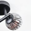 Chehalis Plafoniera, Lampada a sfera Ambrato, Chiaro, Grigio fumo, 3-Luci