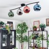 Ripoll Plafoniera, Lampada a sfera Blu, Cromo, Verde, Ramato, Grigio fumo, 4-Luci