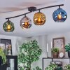Ripoll Plafoniera, Lampada a sfera Blu, Cromo, Oro, Verde, Grigio fumo, 4-Luci