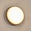 Duril Lampada da parete per esterno, Applique LED Antracite, 1-Luce