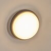 Duril Lampada da parete per esterno, Applique LED Antracite, 1-Luce