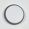 Duril Lampada da parete per esterno, Applique LED Antracite, 1-Luce