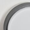 Duril Lampada da parete per esterno, Lampada per numero civico, Applique LED Antracite, 1-Luce