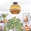 Koyoto Plafoniera, Lampada a sfera 12 cm Oro, 1-Luce