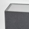 Fanor Lampada da parete per esterno, Lampade Up & Down, Applique LED Antracite, 1-Luce