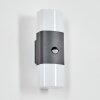 Felor Lampada da parete per esterno, Lampade Up & Down, Applique LED Antracite, 2-Luci, Sensori di movimento