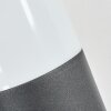 Felor Lampada da parete per esterno, Lampade Up & Down, Applique LED Antracite, 2-Luci, Sensori di movimento