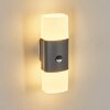 Felor Lampada da parete per esterno, Lampade Up & Down, Applique LED Antracite, 2-Luci, Sensori di movimento