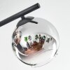 Koyoto Plafoniera, Lampada a sfera Cromo, Chiaro, Grigio fumo, 4-Luci