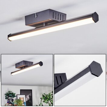 Fenol Plafoniera LED Nero, 1-Luce