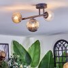 Chehalis Plafoniera, Lampada a sfera Ambrato, Chiaro, Grigio fumo, 3-Luci