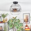 Ripoll Plafoniera, Lampada a sfera Chiaro, Grigio fumo, 1-Luce