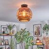 Ripoll Plafoniera, Lampada a sfera Ramato, 1-Luce
