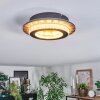 Lidor Plafoniera LED Oro, Nero, 1-Luce