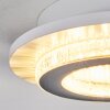 Lidor Plafoniera LED Grigio, Bianco, 1-Luce