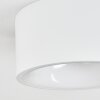 Falor Plafoniera LED Bianco, 1-Luce
