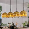 Koyoto Lampadario a sospensione, Lampada a sfera, Lampada a sospensione Oro, Chiaro, 4-Luci