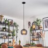 Koyoto Lampadario a sospensione, Lampada a sfera, Lampada a sospensione Grigio fumo, 1-Luce