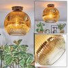 Ripoll Plafoniera, Lampada a sfera Oro, Chiaro, 1-Luce