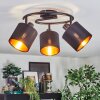 Alsen Plafoniera, Faretto da soffitto Nero, 3-Luci