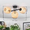Basto Plafoniera, Lampada a sfera Écru, 3-Luci