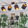 Alsen Plafoniera, Faretto da soffitto Nero, 4-Luci