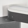 Fanek Lampada da parete per esterno, Lampade Up & Down, Applique LED Antracite, 2-Luci