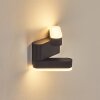 Fanek Lampada da parete per esterno, Lampade Up & Down, Applique LED Antracite, 2-Luci
