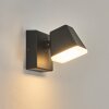 Fanel Lampada da parete per esterno, Applique, Faretto da parete LED Antracite, 1-Luce