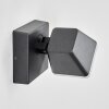 Fanel Lampada da parete per esterno, Applique, Faretto da parete LED Antracite, 1-Luce