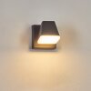 Fanel Lampada da parete per esterno, Applique, Faretto da parete LED Antracite, 1-Luce