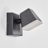 Fanel Lampada da parete per esterno, Applique, Faretto da parete LED Antracite, 1-Luce