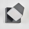 Fanel Lampada da parete per esterno, Applique, Faretto da parete LED Antracite, 1-Luce