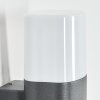 Felor Lampada da parete per esterno, Lampade Up & Down, Applique LED Antracite, 2-Luci